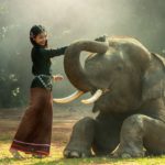 タイ旅行中に気軽に象乗りが体験できるスポットを紹介！